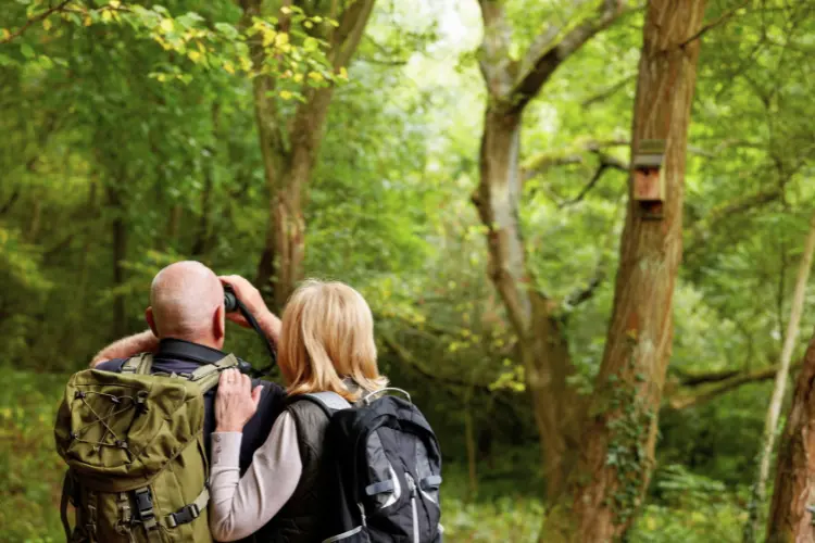 Nature trails and bird watching at Pangot near Nainital